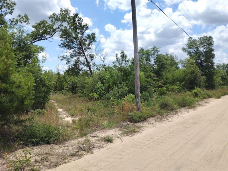 5 Acres No Restrictions in FL, Farm for Sale by Owner in Florida