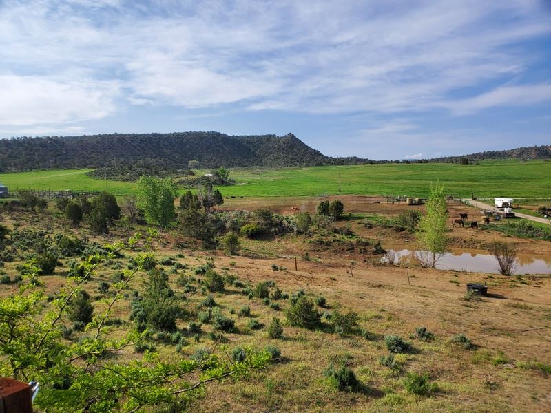 Highline Meadow 94 : Silt : Garfield County : Colorado