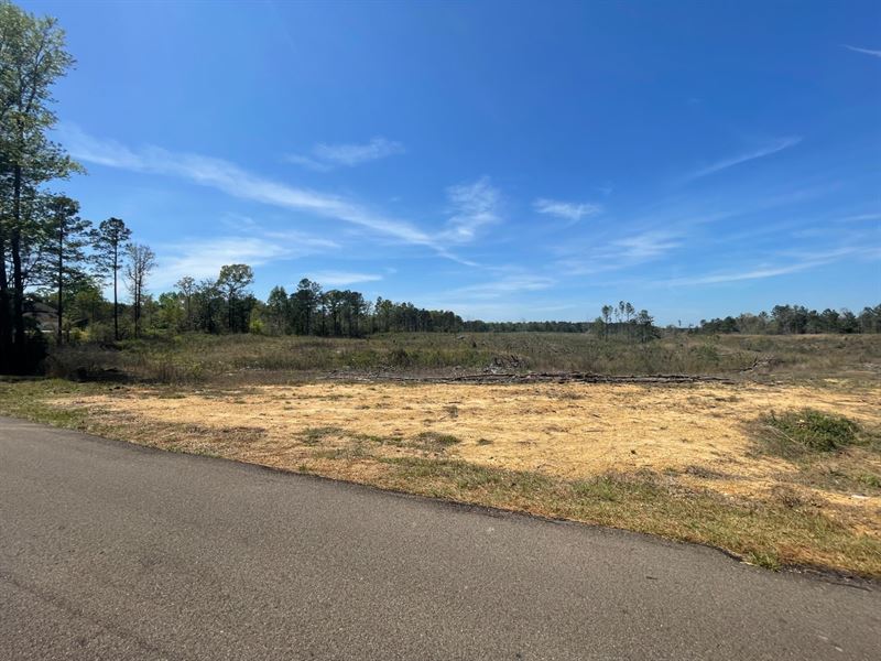 The 54 on Joe Buckley Road : Shivers : Simpson County : Mississippi