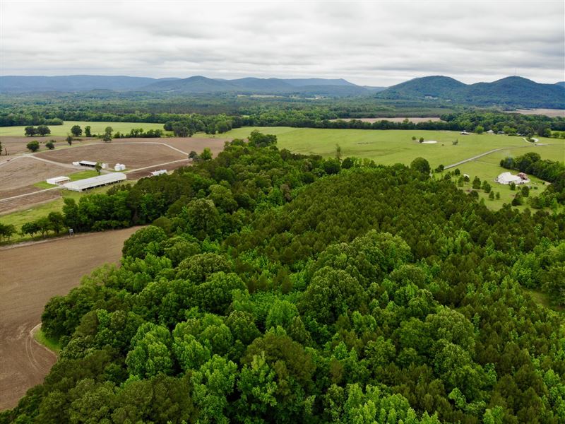 Floyd County GA 24.3 Acres : Rome : Floyd County : Georgia