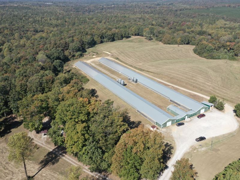Crown Breeder Farm : Hackleburg : Marion County : Alabama