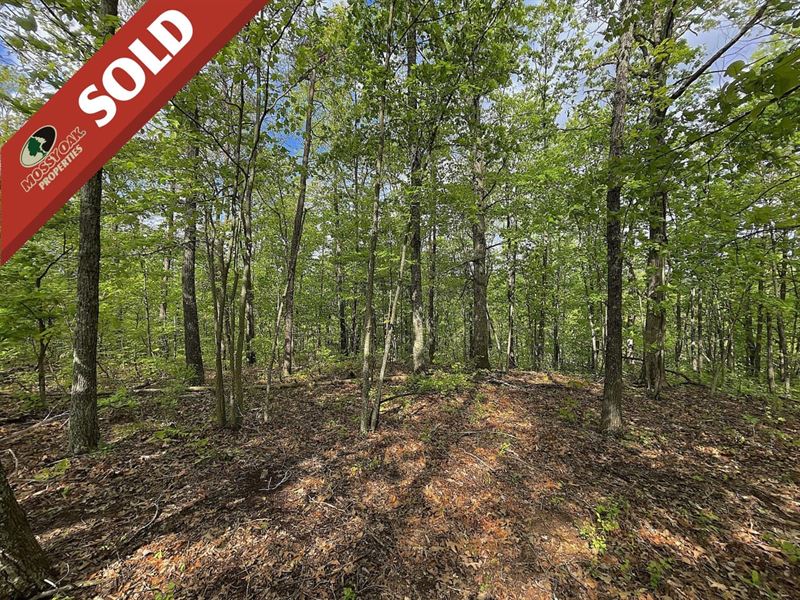 Hamilton Rd, 17.96 Acres, Gallia : Crown City : Gallia County : Ohio