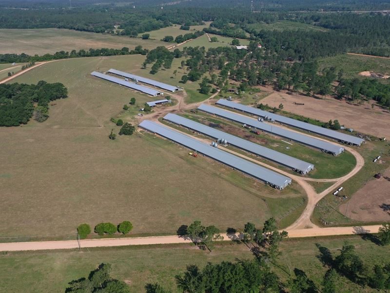Foxtown Broiler Farm, Farm for Sale in South Carolina, 350330 FARMFLIP