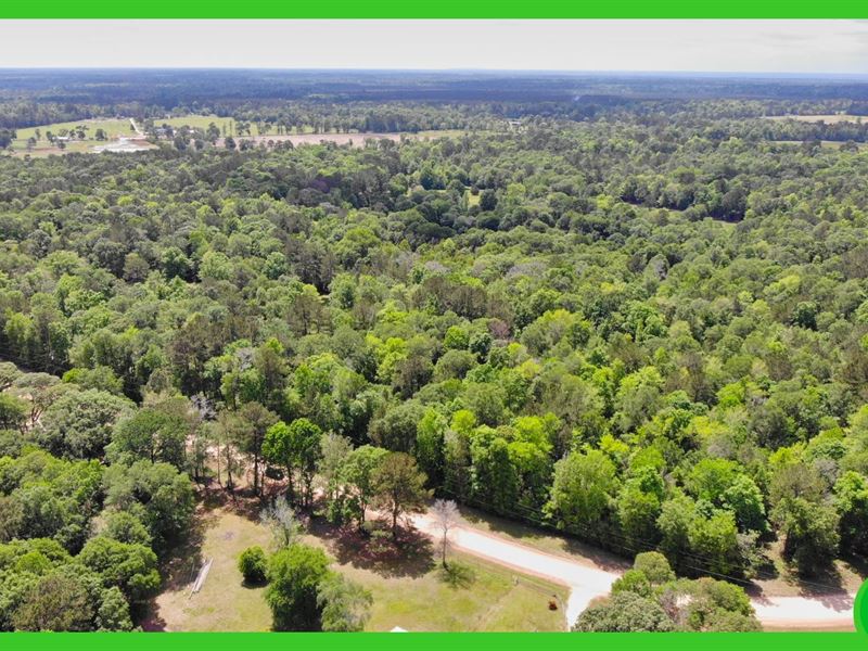 Unrestricted Land in Livingston, TX : Livingston : Polk County : Texas