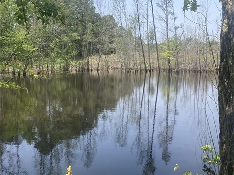 Hunting / Residential Land : Corinth : Alcorn County : Mississippi