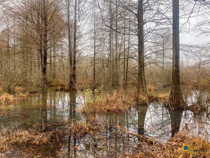 Indian Creek Tract, Farm for Sale in 350506 FARMFLIP