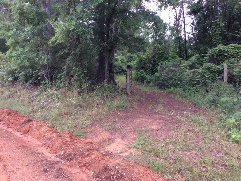 County Line Rd Cook Tract : McKenzie : Conecuh County : Alabama