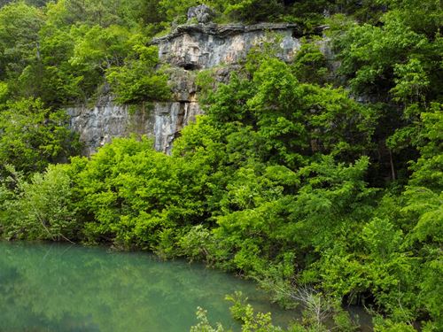 Hunting Property with Spring : Dora : Howell County : Missouri