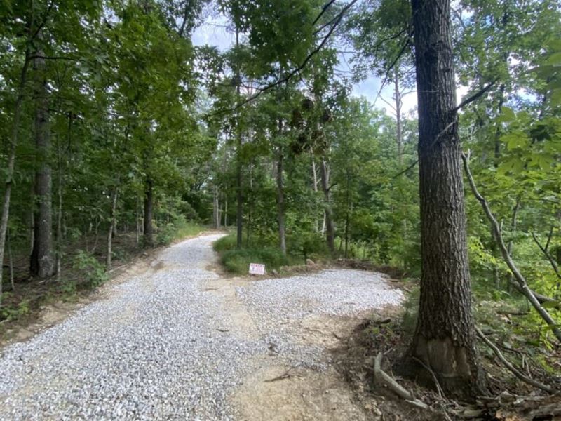 Off Grid Land : Jeffersonville : Montgomery County : Kentucky