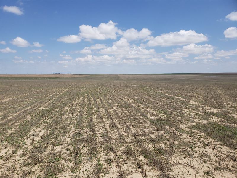 Wright's Farm and Ranch Parcel 13-B : Akron : Washington County : Colorado