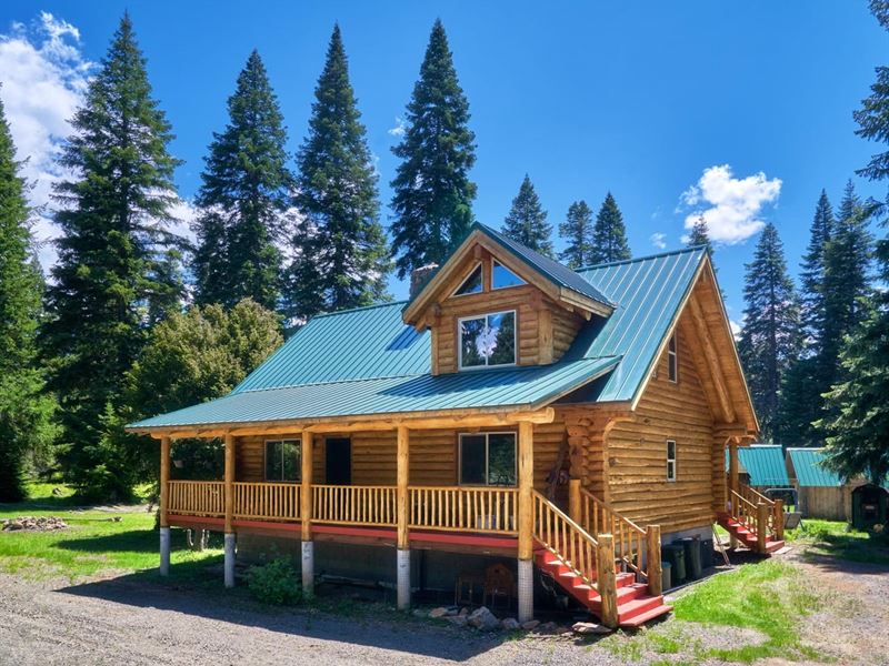 High Cascade Log Home : Ashland : Jackson County : Oregon