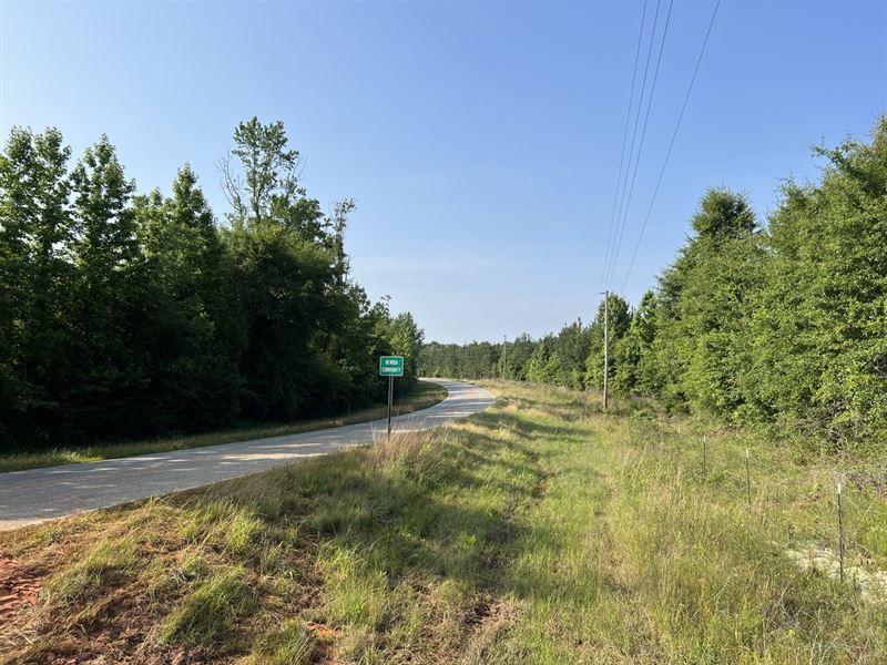 Newbia Mini Farm, Tract 3 : Elba : Coffee County : Alabama