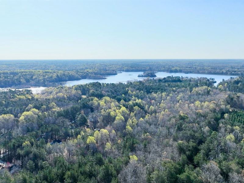 10.74 Ac in New Kent County, VA, Farm for Sale by Owner in Virginia