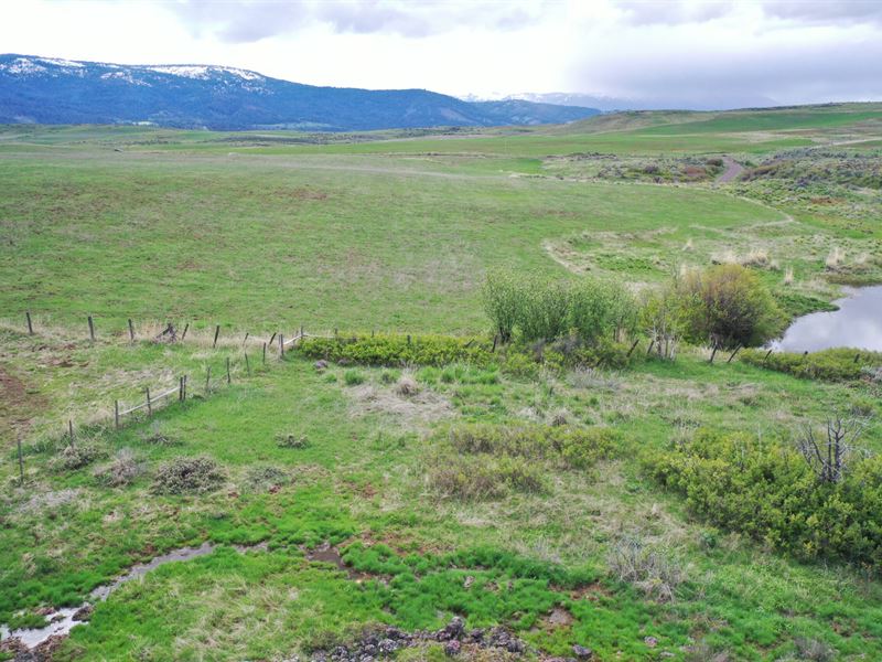 Ridge Road Land Development : Council : Adams County : Idaho