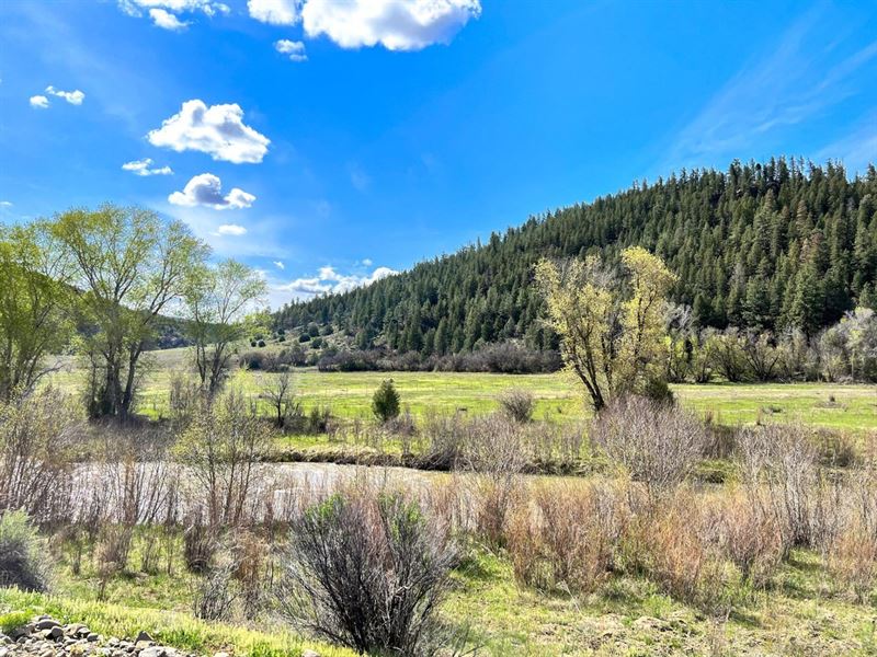Navajo River Confluence : Pagosa Springs : Archuleta County : Colorado
