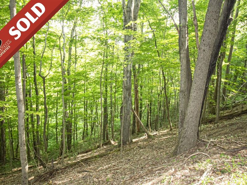 Eddy Ridge Rd, 120 Acres, Washing, Farm for Sale in Ohio, 350960