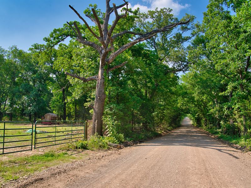 Nature's Beauty and Rural Charm : Farris : Atoka County : Oklahoma