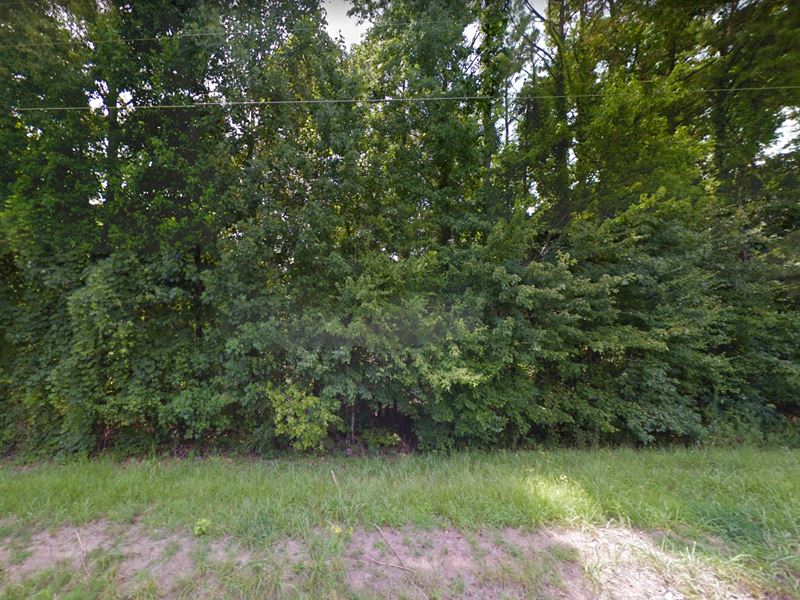 Unrestricted 7.5 Acres : Bremen : Walker County : Alabama