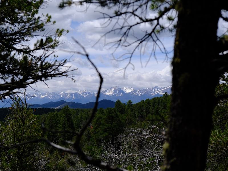 143 Last Chance Ln : Cotopaxi : Fremont County : Colorado