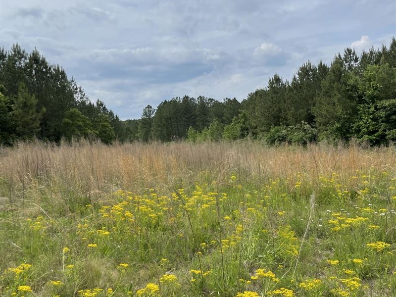Secluded Wooded Getaway with Amazin : Decatur : Meigs County : Tennessee
