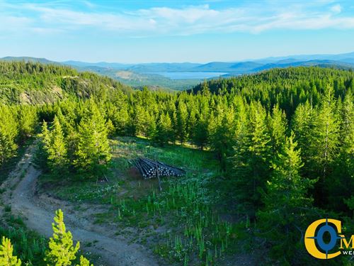 Two Creeks Tract : Marion : Flathead County : Montana