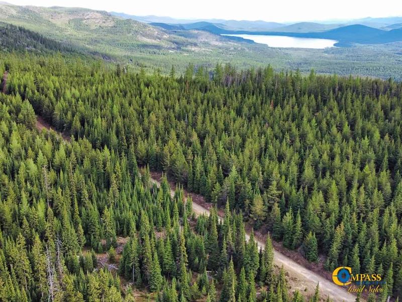 Pleasant Valley Mountain Tract : Marion : Flathead County : Montana