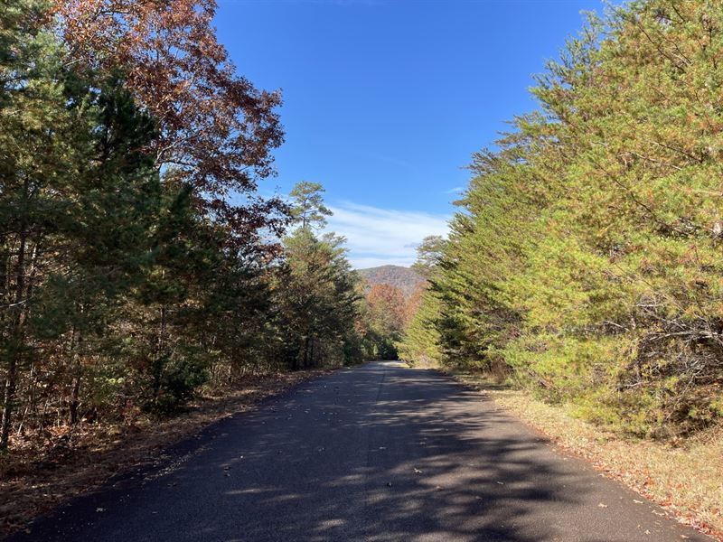 25 Acres, Stephens County, GA : Toccoa : Stephens County : Georgia
