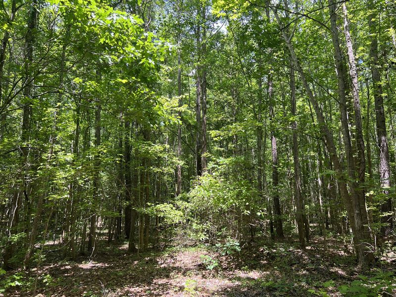 Chappells Rec & Homestead : Chappells : Newberry County : South Carolina