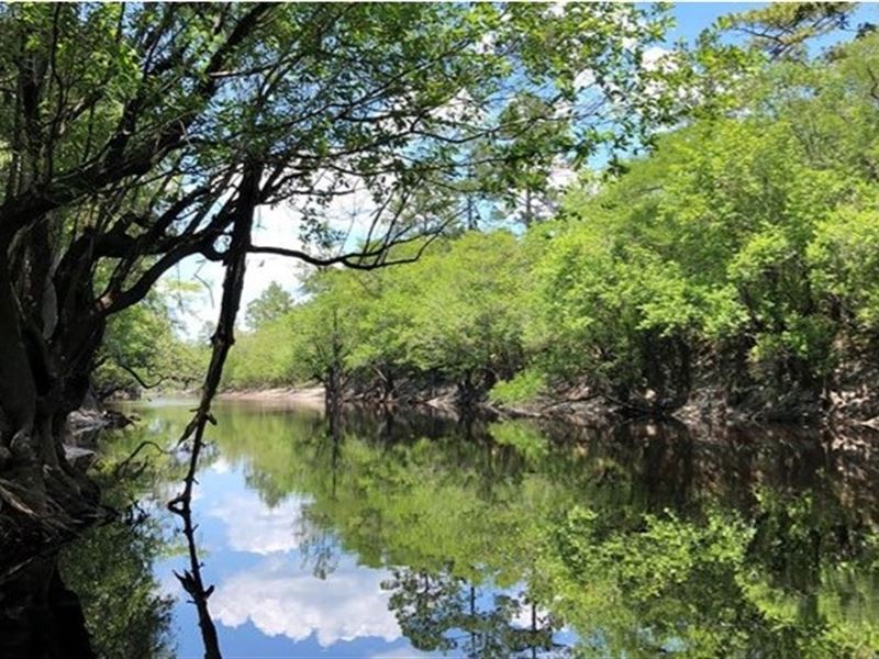 Lot 1, Riverhaven, St. George, GA : Saint George : Charlton County : Georgia