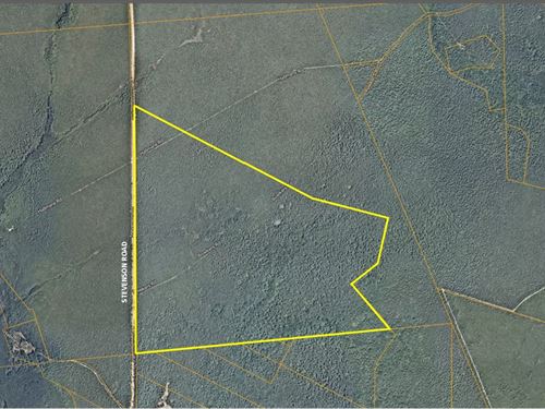 162 Acres Former Wilderness Camp : Woodland : Burlington County : New Jersey