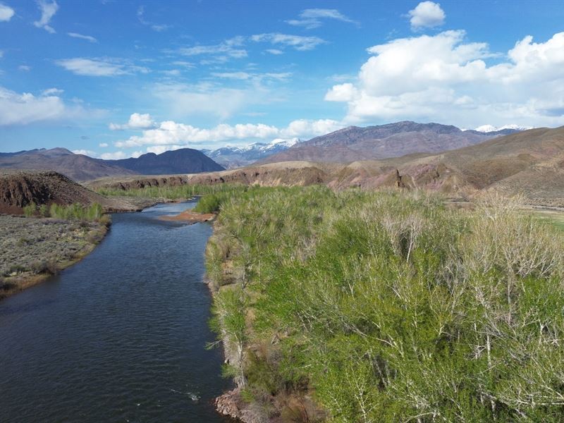 Salmon River Homestead : Challis : Custer County : Idaho