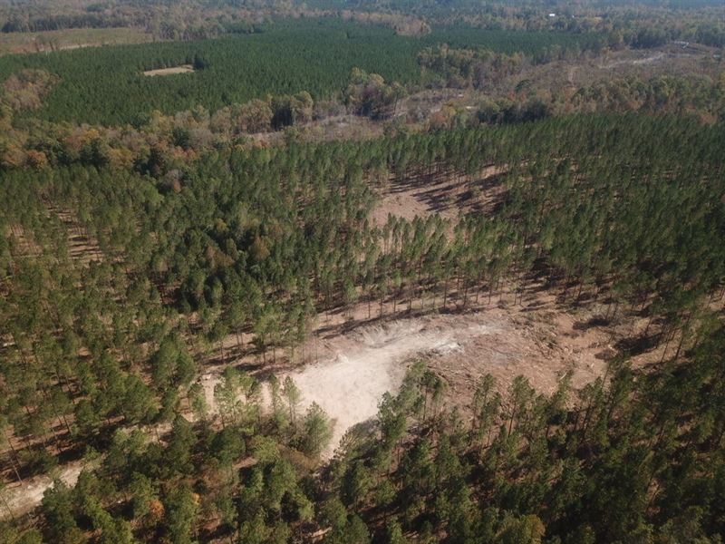 31.15 Acres on Hwy 9 : Alexander City : Coosa County : Alabama