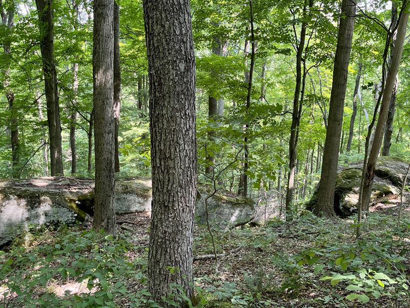 Land Borders Wayne National Forest, Farm for Sale in Ohio, 351207