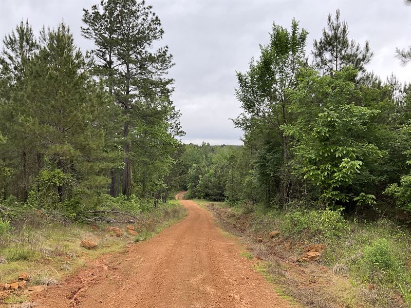 Totally Unrestricted 152 Acre Tract : Center : Shelby County : Texas