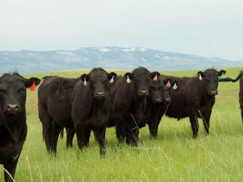 Timberlake Ranch : Craig : Moffat County : Colorado
