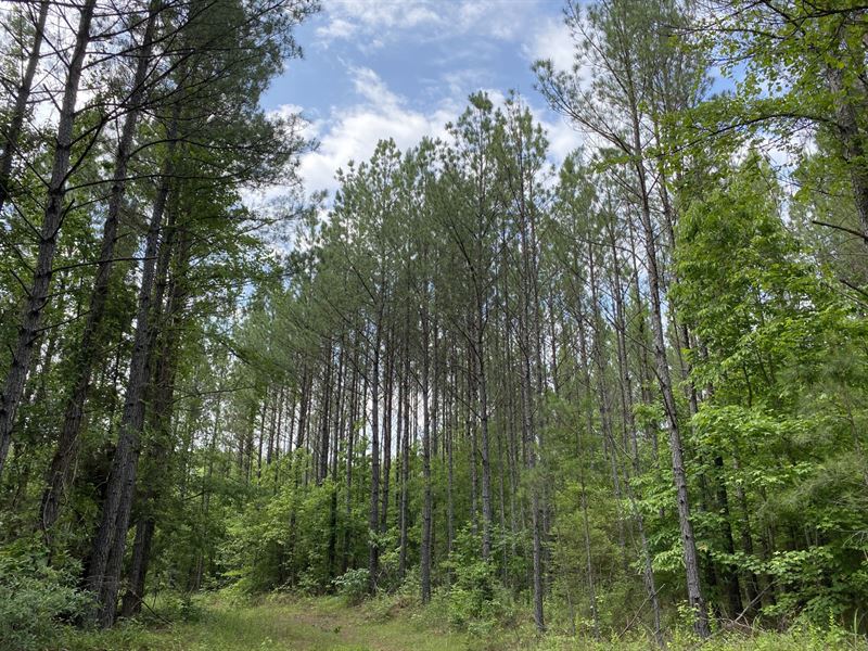 72 Ac Tallapoosa Co, AL : Dadeville : Alabama - Tallapoosa County : Alabama