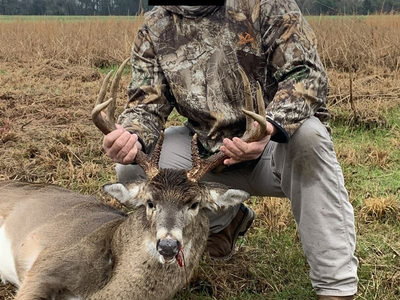 Bullard Place, Hwy 80 Dallas Co : Tyler : Dallas County : Alabama