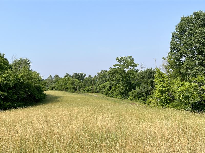 Scott Rd Tract 2, 24.5 Ac, Farm for Sale in Ohio, 351480 FARMFLIP