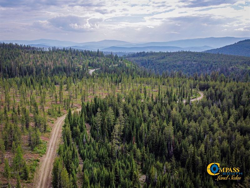 Griffin Creek Tract : Marion : Flathead County : Montana