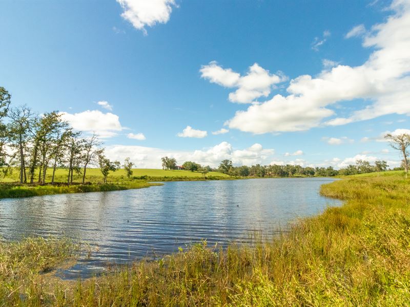 Back on Market, Lakefront Dream : Centerville : Leon County : Texas