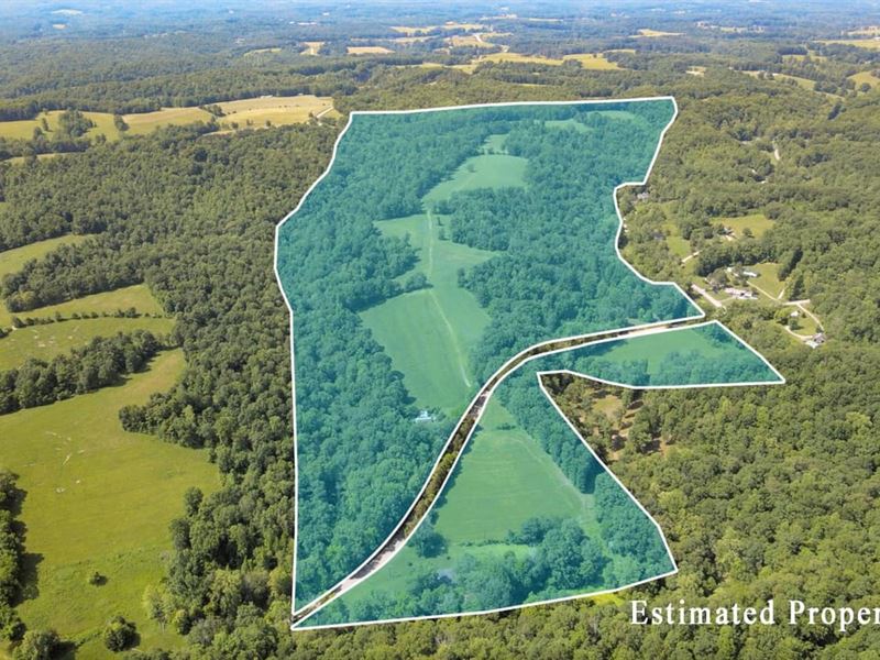 17.81 Acres in Desirable Williamson : Franklin : Williamson County : Tennessee