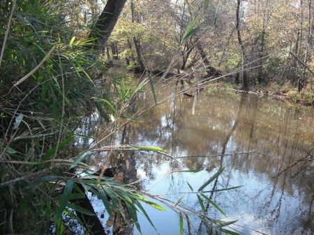 Flat Creek Tract : Jersey : Walton County : Georgia