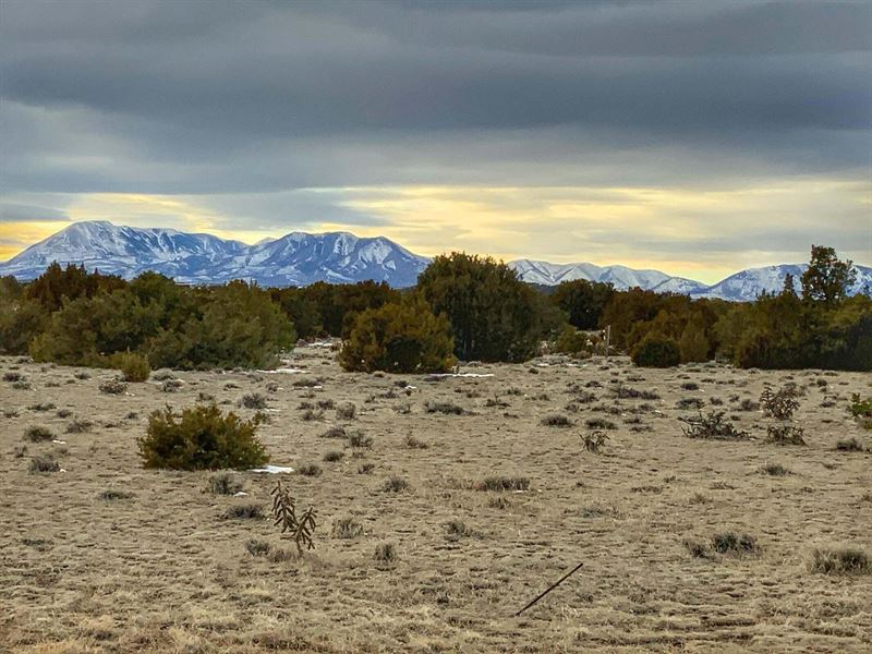 Lot 80 Turkey Ridge Ranch, Walsenbu : Walsenburg : Huerfano County : Colorado
