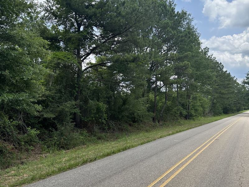 15 Ac Garden Rd McKenzie, AL, Farm for Sale in Alabama, 351661 FARMFLIP