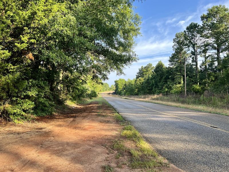 Monticello Tract 3 : Banks : Pike County : Alabama
