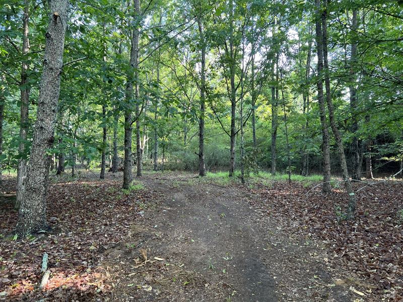 Monticello Tract 2 : Banks : Pike County : Alabama