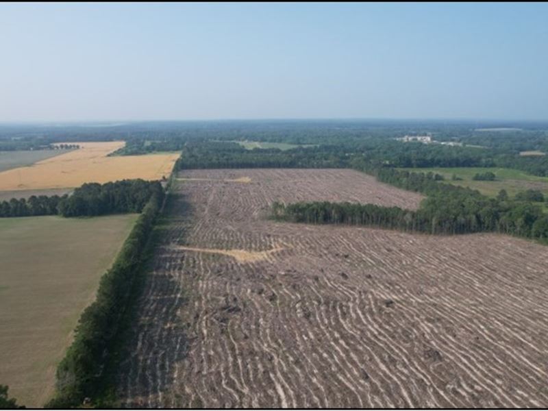 117.1 Acres in Scott County in Mort : Pelahatchie : Scott County : Mississippi
