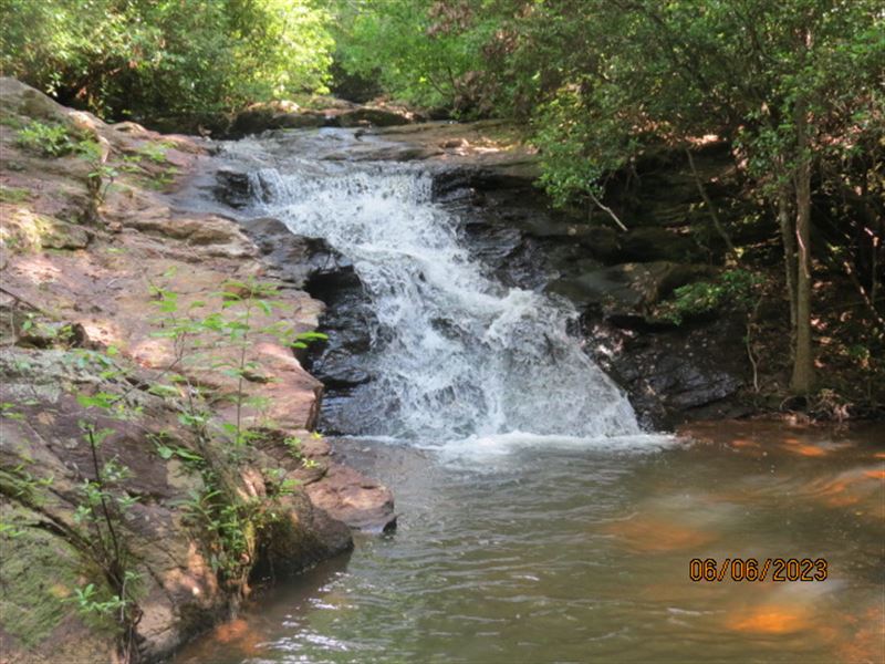 Hunting Land on Walnut Creek : Clanton : Chilton County : Alabama