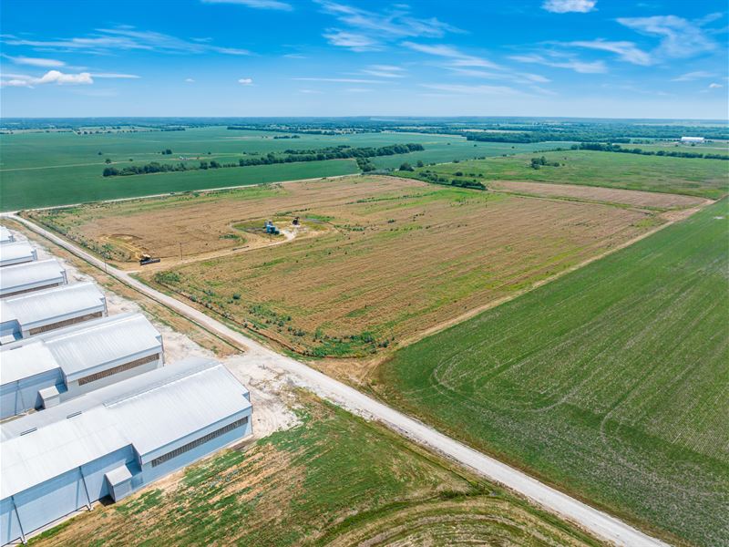 Row Crop Farm for Sale Northeast TX : Bogata : Red River County : Texas