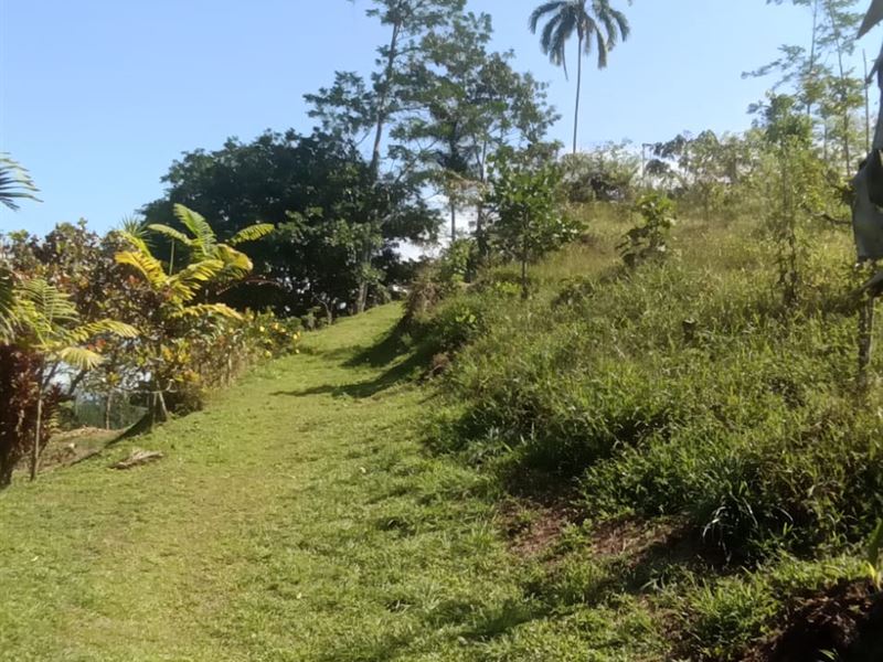 Chitaria Nature Wonders : Turrialba : Costa Rica